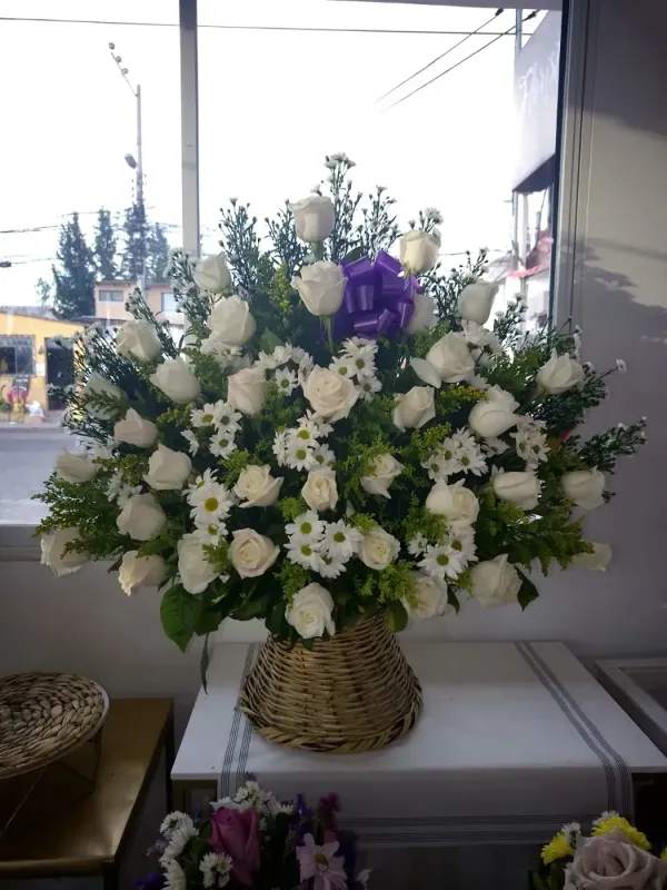 Paz Blanca (foto 2)