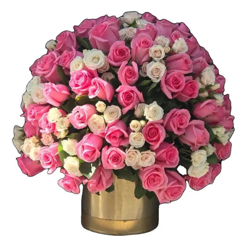 Rosa Imperial (foto 1)